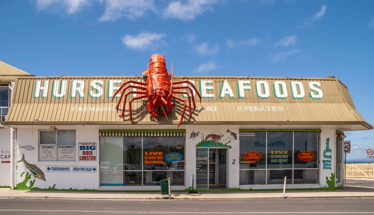タスマニアオオザリガニ 巨大モンスター 生態と謎に迫る ネット動物園 生き物全般からペットまで